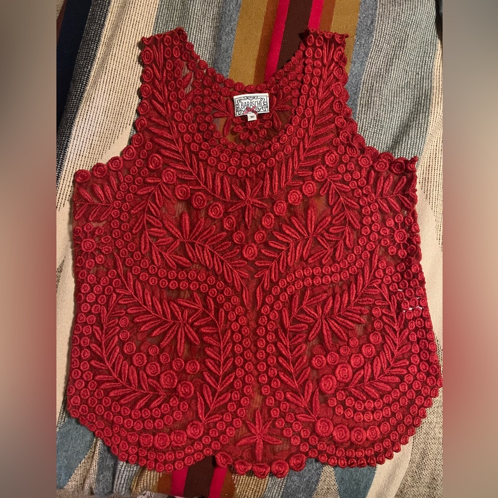 Baraschi size medium. Anthropologie. Beautiful intricate lace embroidery on mesh